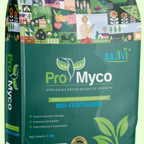 Bio Fertilizers