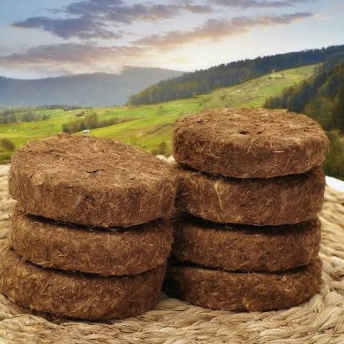 Round Cow Dung Cake