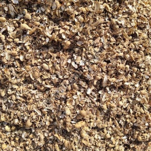 Dry Groundnut Shell Husk