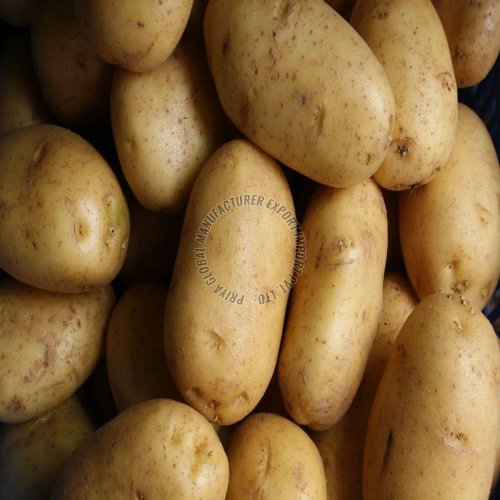 Fresh Raw Potato