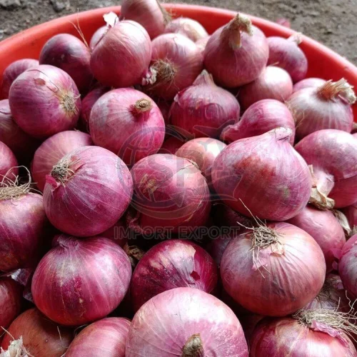 Fresh Red Onion