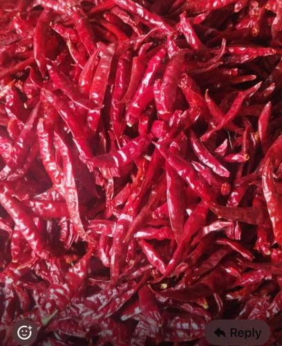 Guntur Teja s17 Deluxe Dry Red Chilli