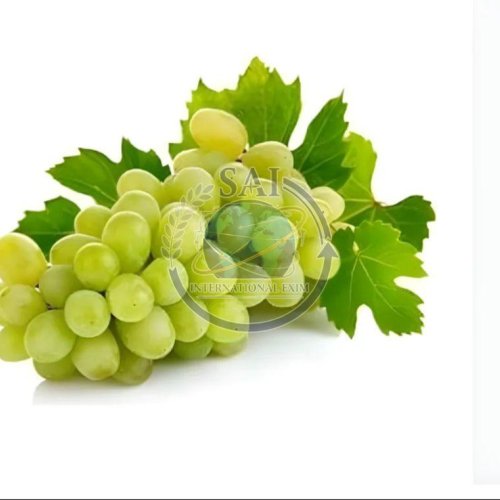 A Grade Fresh Green Grapes