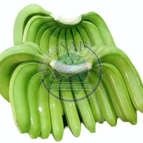 A Grade Fresh Raw Green Banana