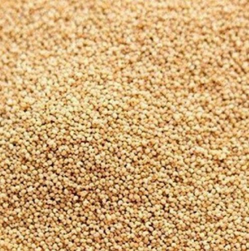 Brown Poppy Seedsbrown Poppy Seeds