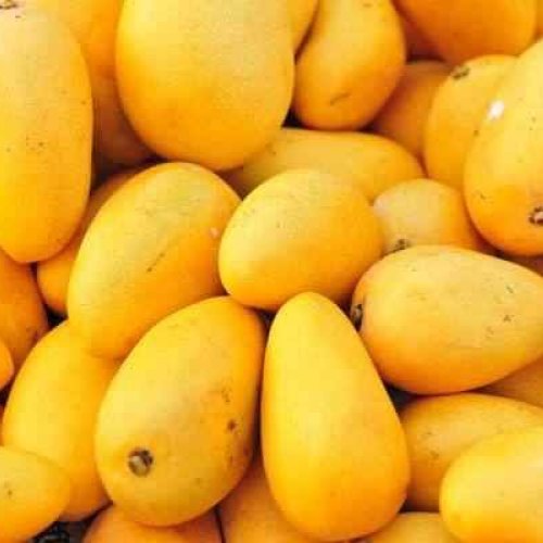 A Grade Fresh Mango