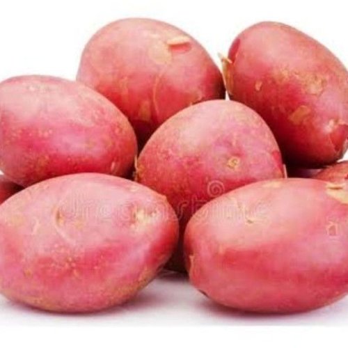 Fresh Sweet Potato