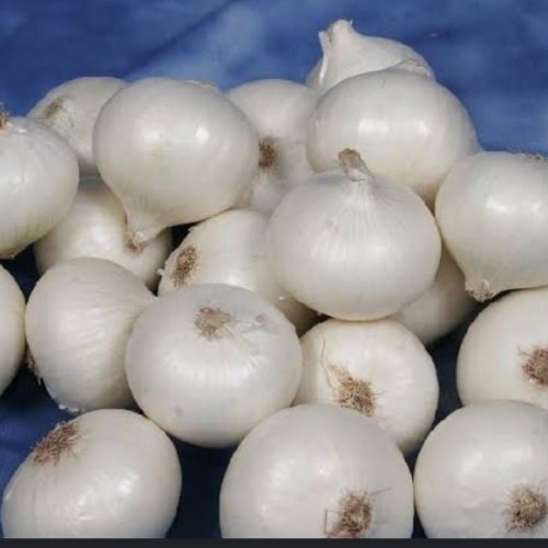 Fresh White Onion