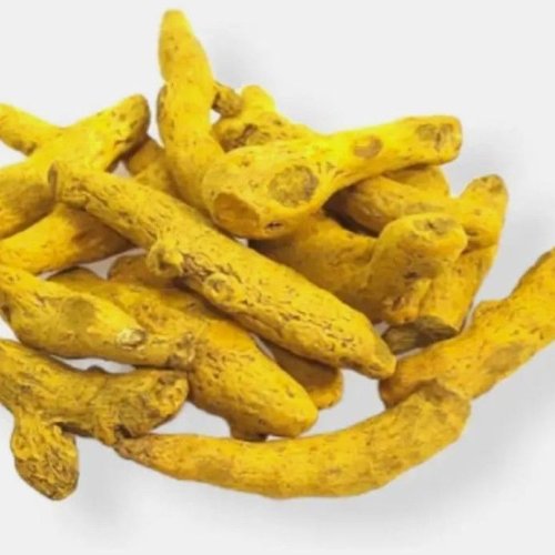 Turmeric Finger Turmeric Finger