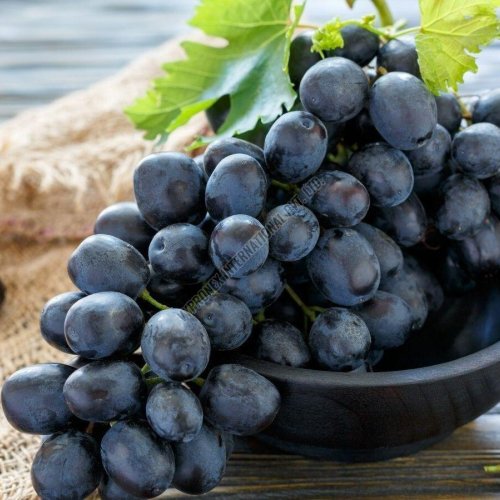 Fresh Black Paneer Grapes