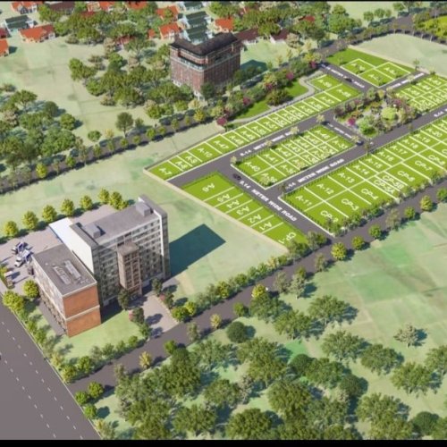 Layout Designing Survey Service