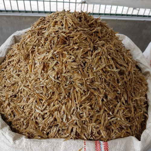 Dried Anchovie Fish