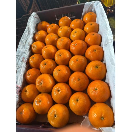 Kinnow Orange