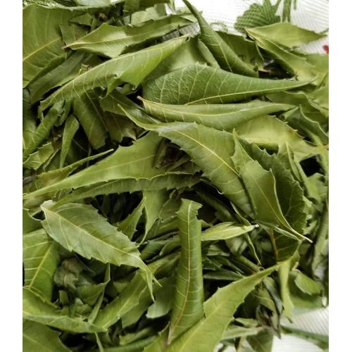 Neem Leaves