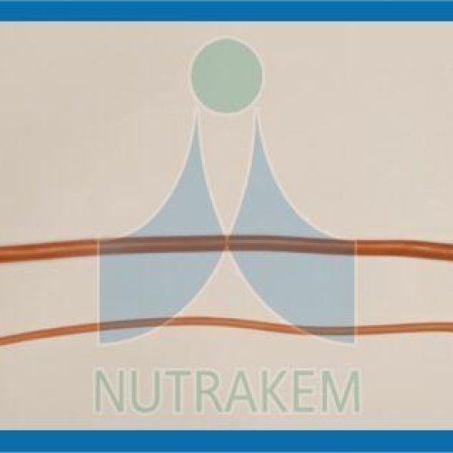 Foley Balloon Catheter