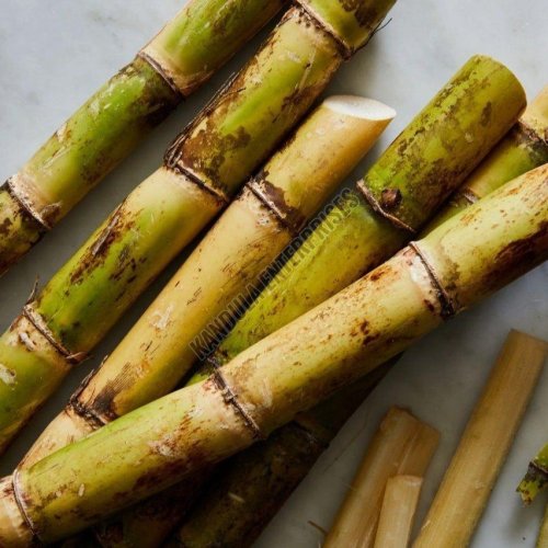 Fresh Sugarcane Sticks