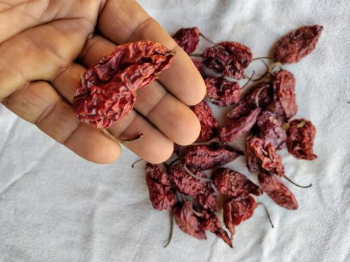 Dry Ghost Chilli