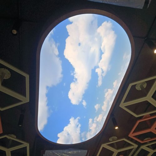 Printed Acoustic Stretch Ceilings