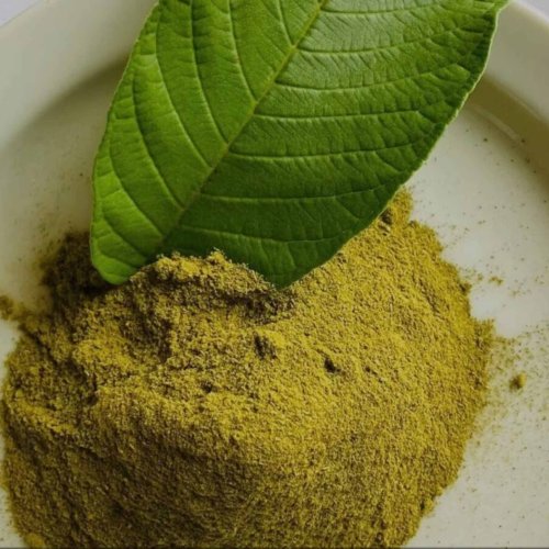 Guava Leaf Extracts Powder