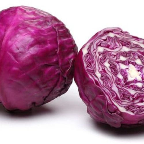 Fresh Purple Cabbage