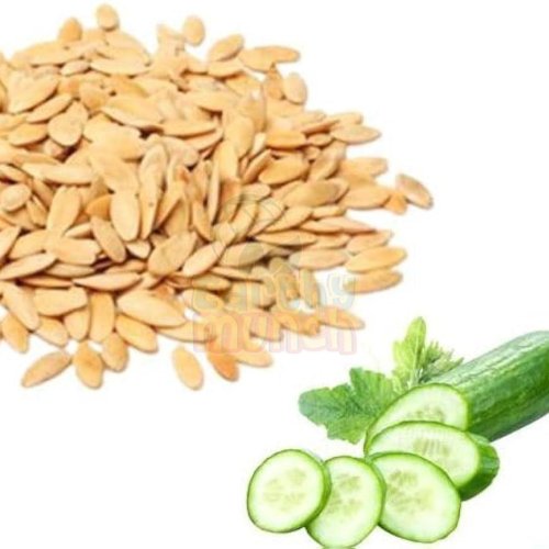 Cucumber Seeds