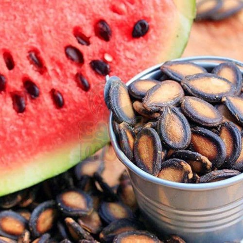 Watermelon Seeds
