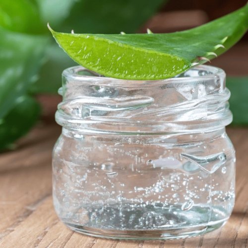 Pure Natural Aloe Vera Gel