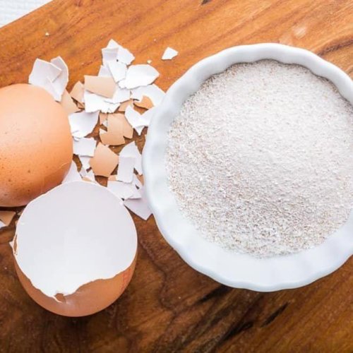 Brown Egg Shell Powder