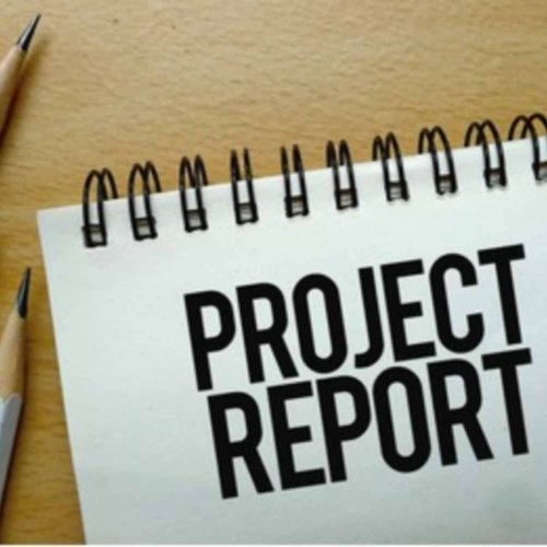 Business Project Report Service
