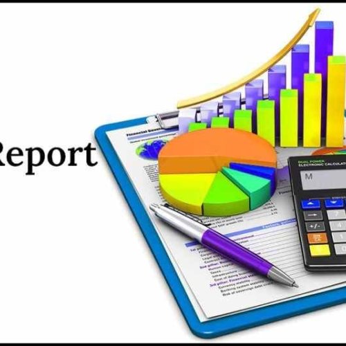 Project Report Preparation Service
