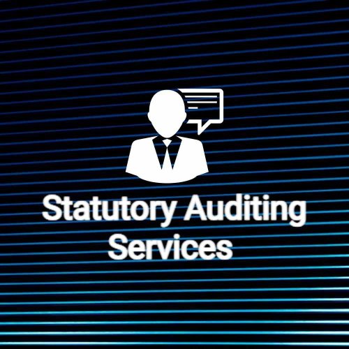 Statutory Financial Audit Service