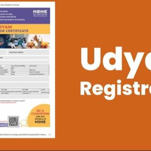 UDYAM Registration Service