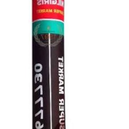 Promotional Inflatables