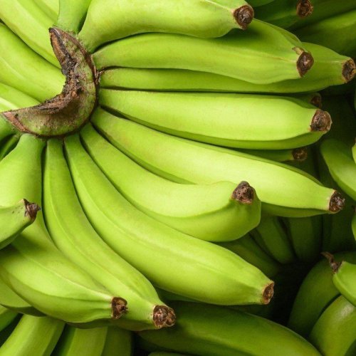 A Grade G9 Green Banana
