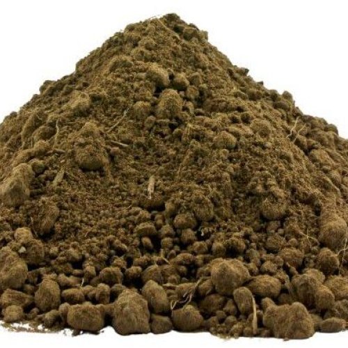 Cow Dung Powder