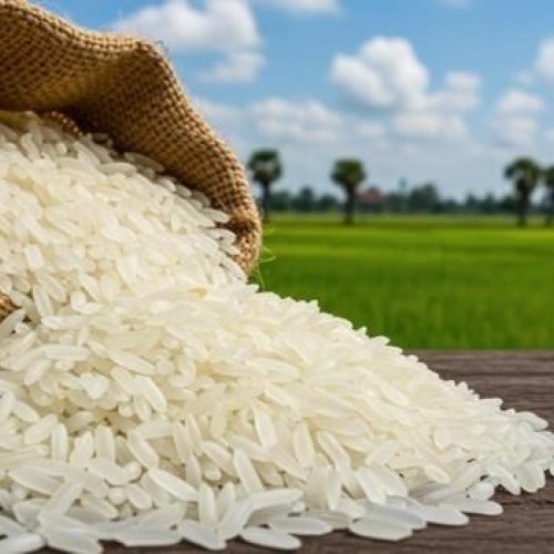 1121 Sella Long Grain Basmati Rice