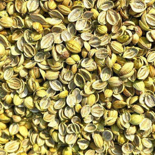 Dried Green Split Coriander Seeds