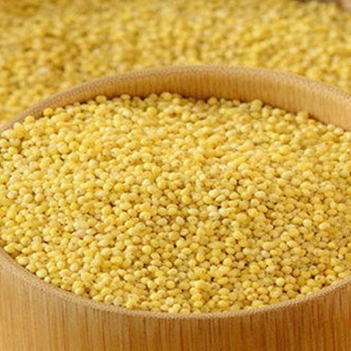 Indian Organic Foxtail Millet