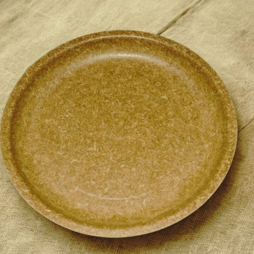 10 Inch Plain Biodegradable Dinner Plate
