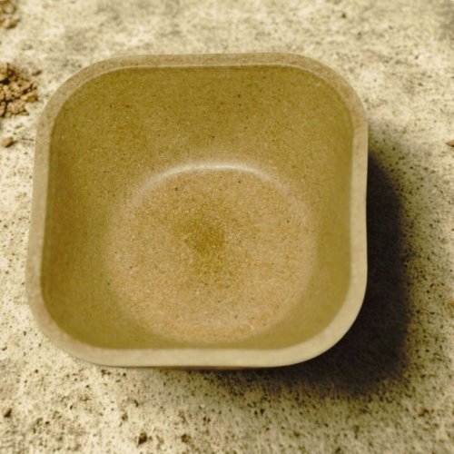Biodegradable Bowls