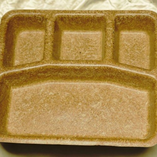 11 Inch 4 Compartment Biodegradable Dinner Plate