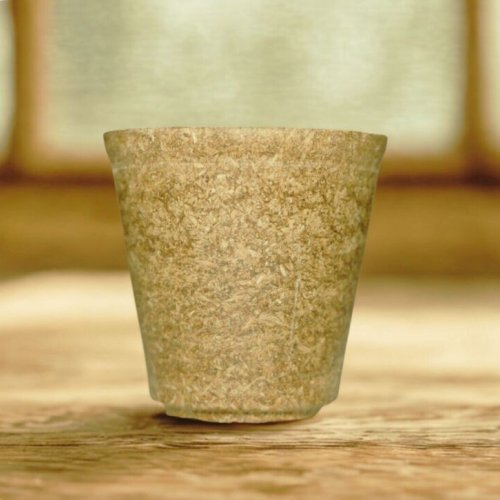 120ml Biodegradable Tea Cup