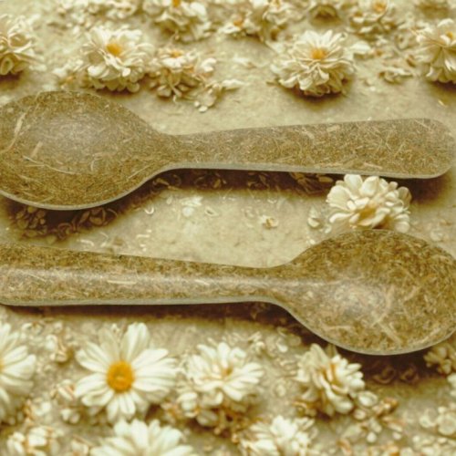 Biodegradable Disposable Spoon