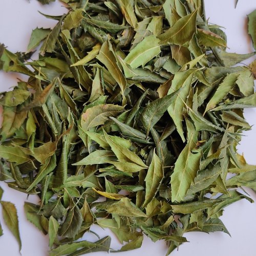 Natural Dried Neem Leaves