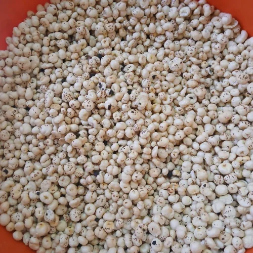 40gm Himalayan Salt Flavoured Makhana