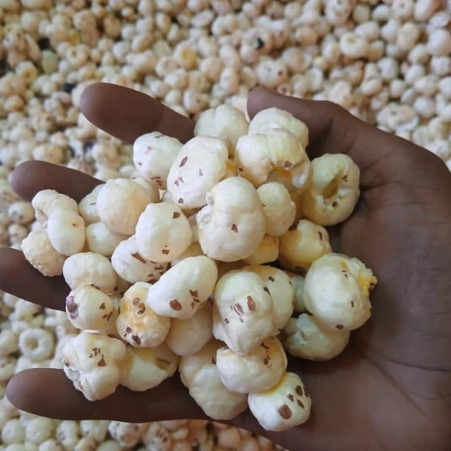 Raw Makhana