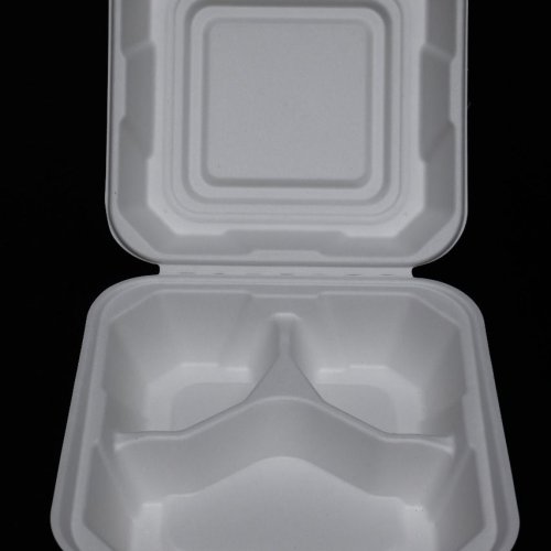 2 Compartment Bagasse Hinged Meal Box