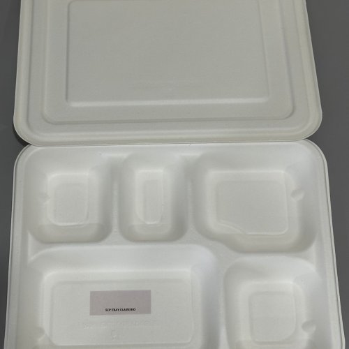 5 Section Sugarcane Bagasse Meal Tray