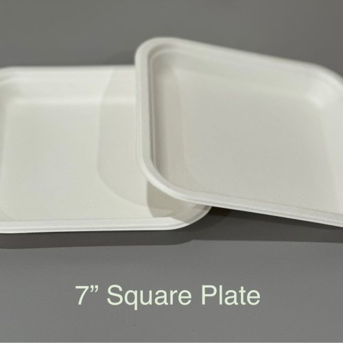 7 Inch Sugarcane Bagasse Serving Plate