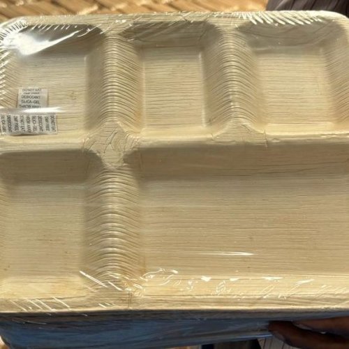 Areca Palm Leaf Compartment Food Serving Tray